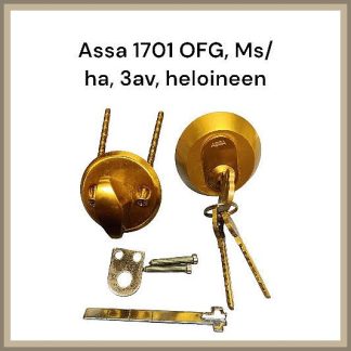 ASSA-1701-OFG-Messinkipesa-HELOINEEN